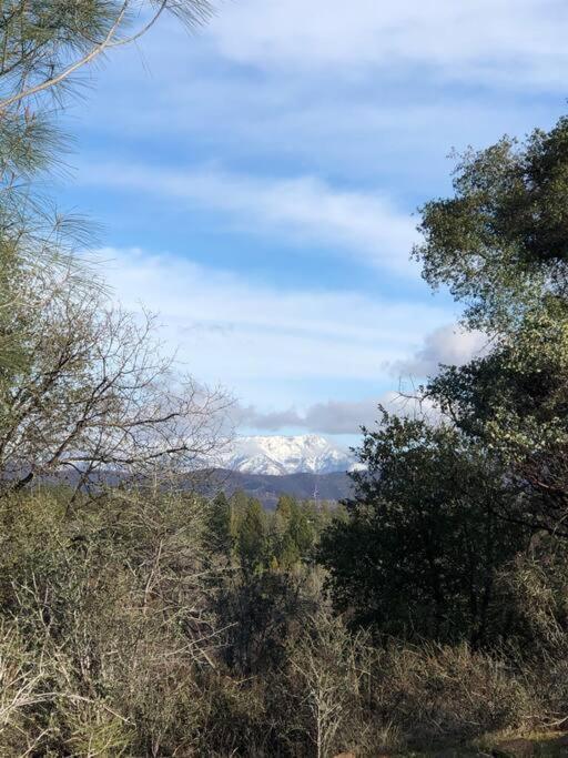 Bear Paw Cabin New Construction Near Yosemite Mariposa Esterno foto